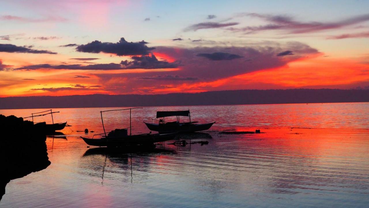 Weyh'S Studio #1 By The Ocean 100Mbps Panglao Exterior foto